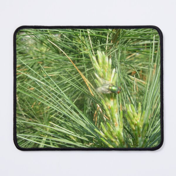 Item preview, Potential pine cone with fly designed and sold by Shulie1.