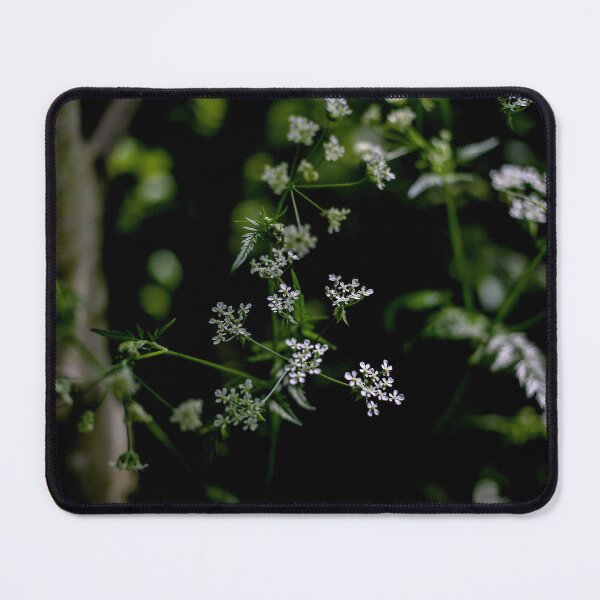 Item preview, Looking  - A View  designed and sold by Carl Gaynor.