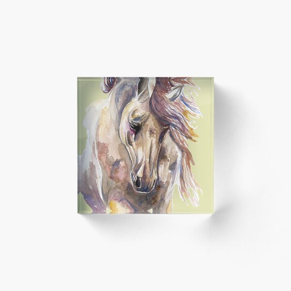 Dramatic Horse Acrylic Block