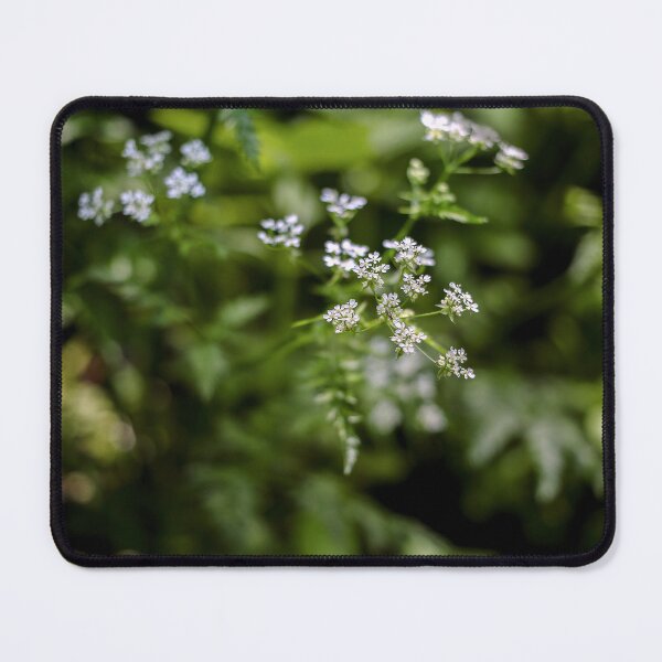 Item preview, Looking - A View  designed and sold by Carl Gaynor.