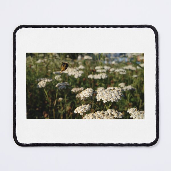 Item preview, Cute bee designed and sold by mthyselius.