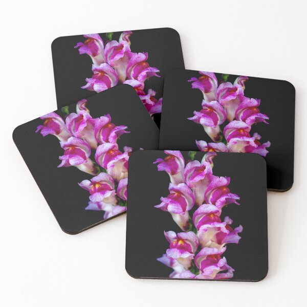 Item preview, Snapdragon flower designed and sold by kadmil.