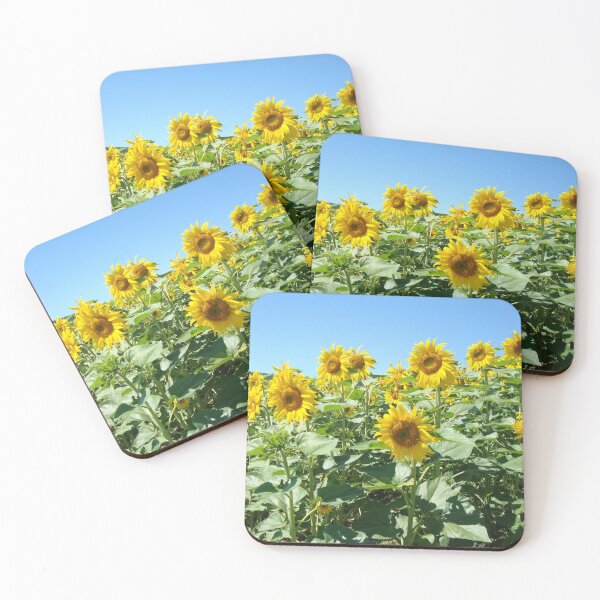 Item preview, Natur, Landschaft, Sonnenblumen, Feld, gelb, Fotografie, BebiCervin designed and sold by BebiCervin.