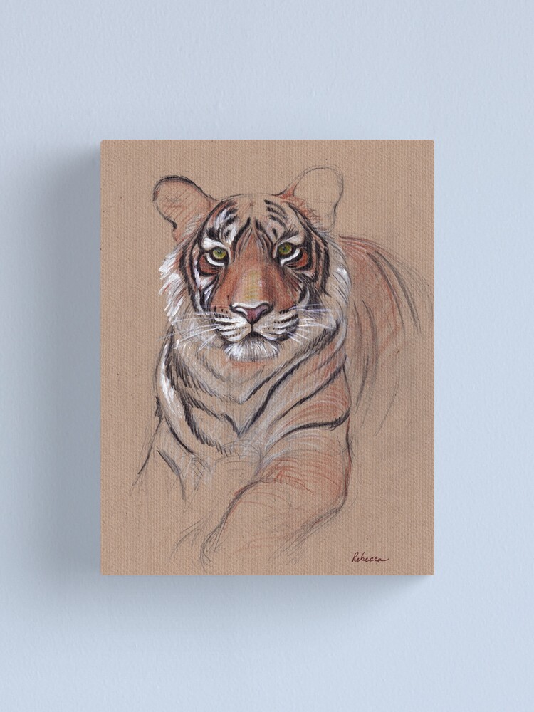 Pencil Sketch - The Royal Bengal Tiger | Pencil sketch, Sketches, Bengal  tiger