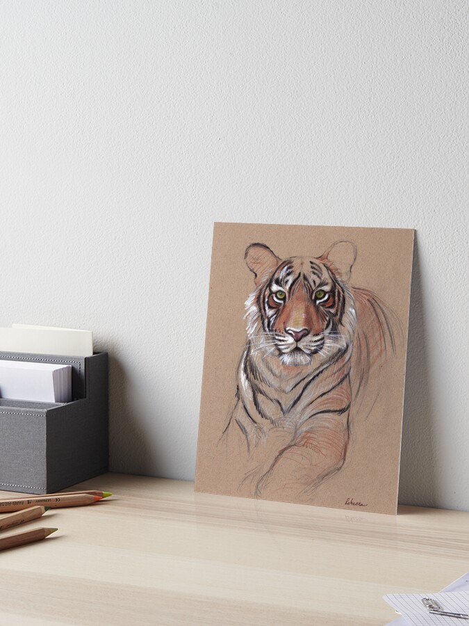Baby Tiger Themed Drawing Book, Kids Drawing Book, Spiral Notebook