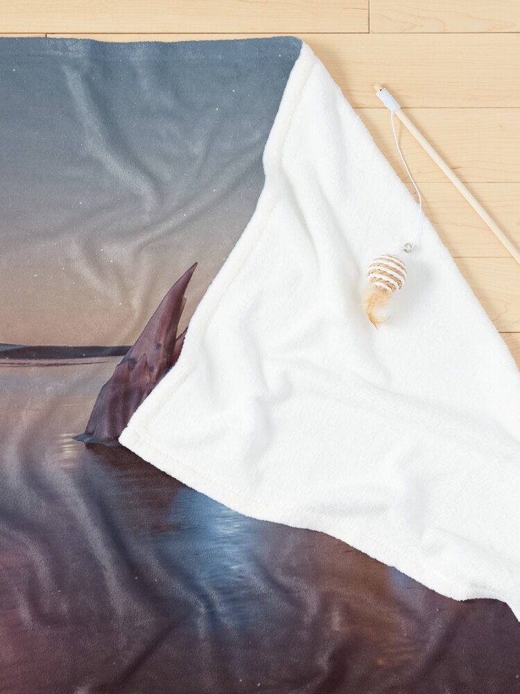 Alternate view of Infinity (Part 2) - Experiment 14.5 Pet Blanket