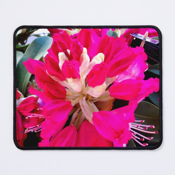 Item preview, Another Flower designed and sold by Dreammkd.