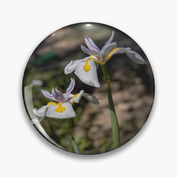 Item preview, African Iris or Fairy Lily designed and sold by CarolM.