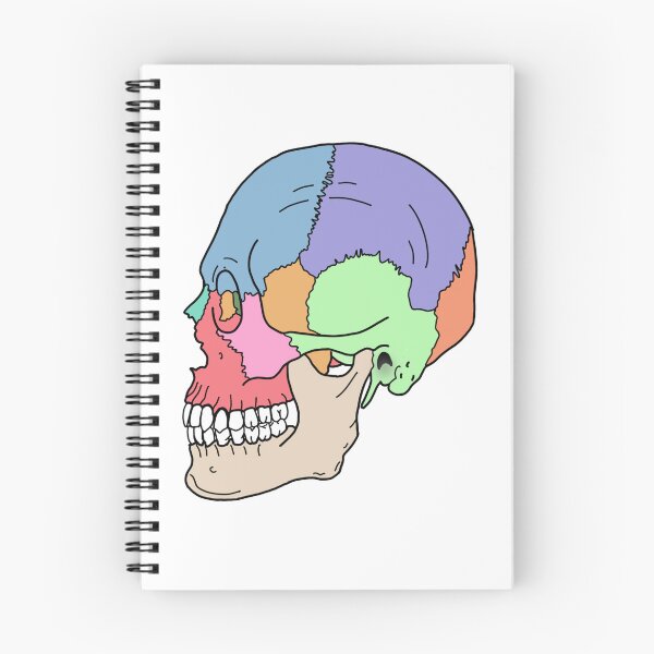 Item preview, Lateral Skull designed and sold by ricecakezz.