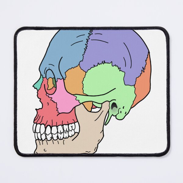 Item preview, Lateral Skull designed and sold by ricecakezz.