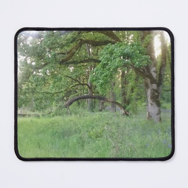 Item preview, Tranqual Trees designed and sold by Sophia-Adams.