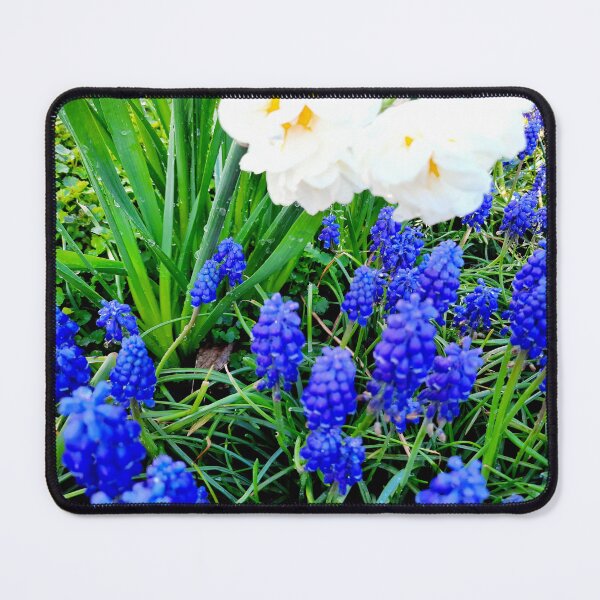 Item preview, Spring designed and sold by Dreammkd.