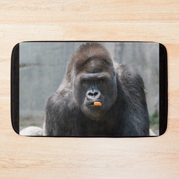 Item preview, Silver back gorilla chewing on a carrot designed and sold by Stretch Clendennen.