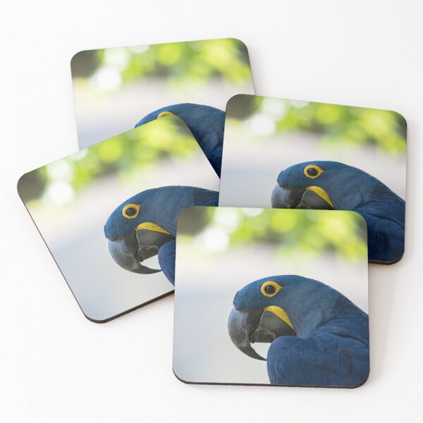 Item preview, Profile of a beautiful Hyacinth Macaw Parrot designed and sold by Stretch Clendennen.