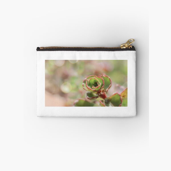 Item preview, succulent designed and sold by CherylCooper.