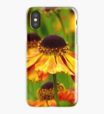 Day's Eye! - Black Eyed Susan - Cone Flower NZ iPhone Case/Skin