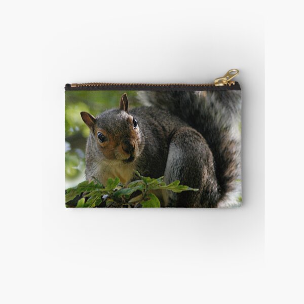 Item preview, Mr Squirrel designed and sold by Jagged-designs.