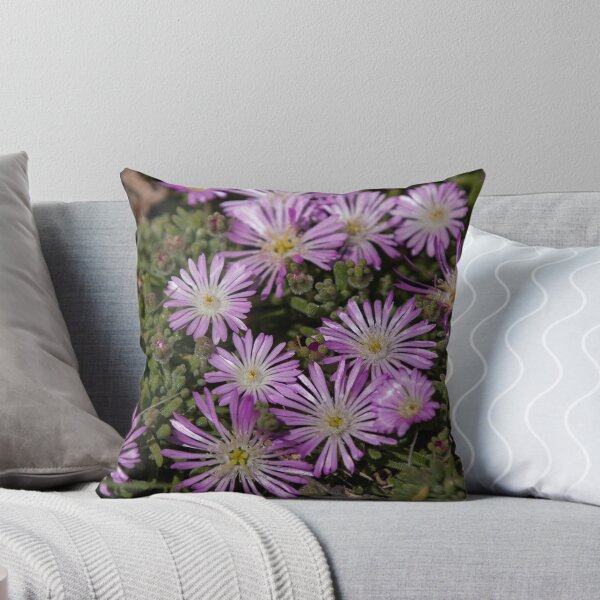 Item preview, Delosperma floribunda Or IcePlant designed and sold by chrismelinafrnk.