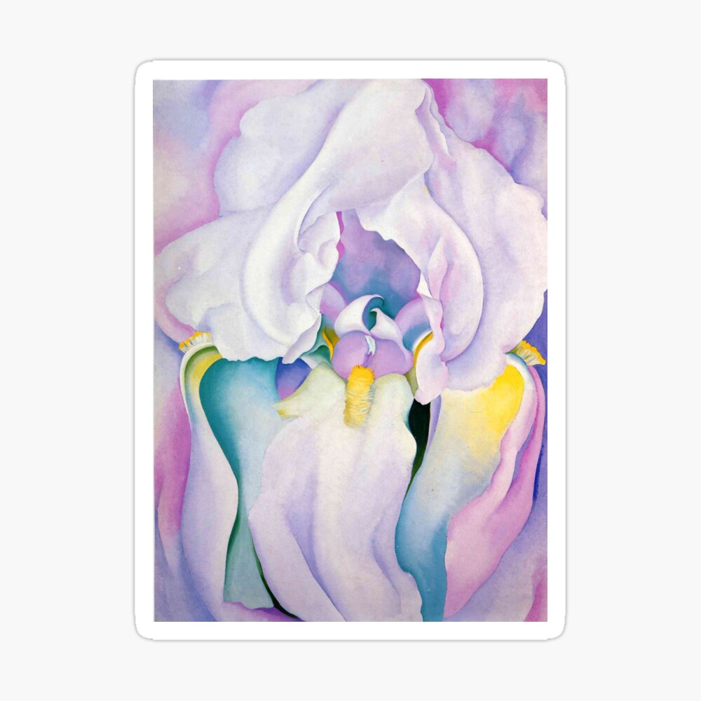 o keeffe white iris