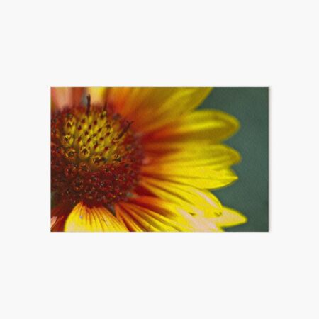 Some Flower Art Board Print
