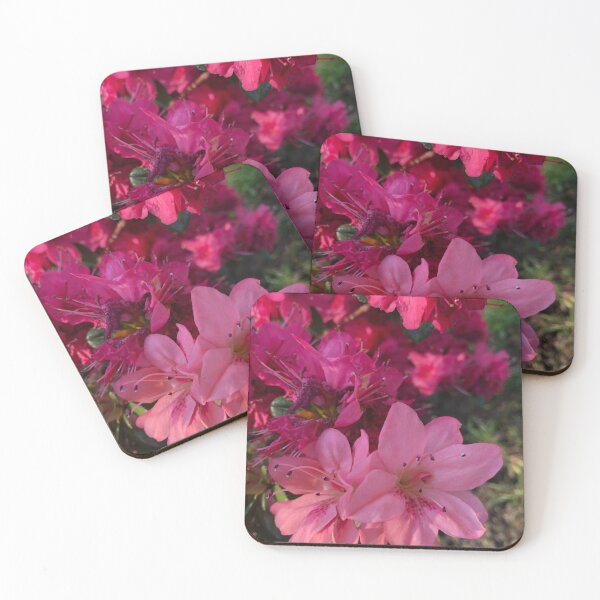 Item preview, Pretty bright pink azaleas flowers  designed and sold by FlowersAndMore.