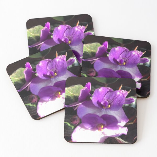 Item preview, Vivid purple and lavender African violet flowers  designed and sold by FlowersAndMore.