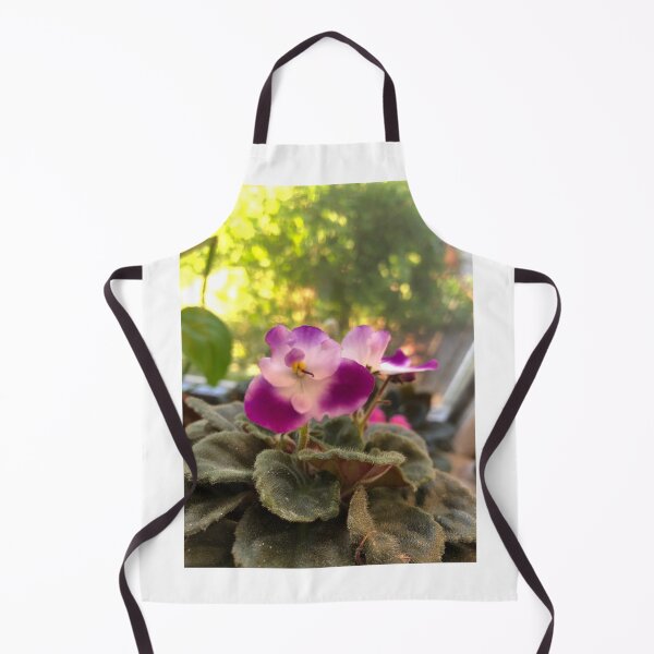 Item preview, Purple and white African violet in the golden hour sun  designed and sold by FlowersAndMore.
