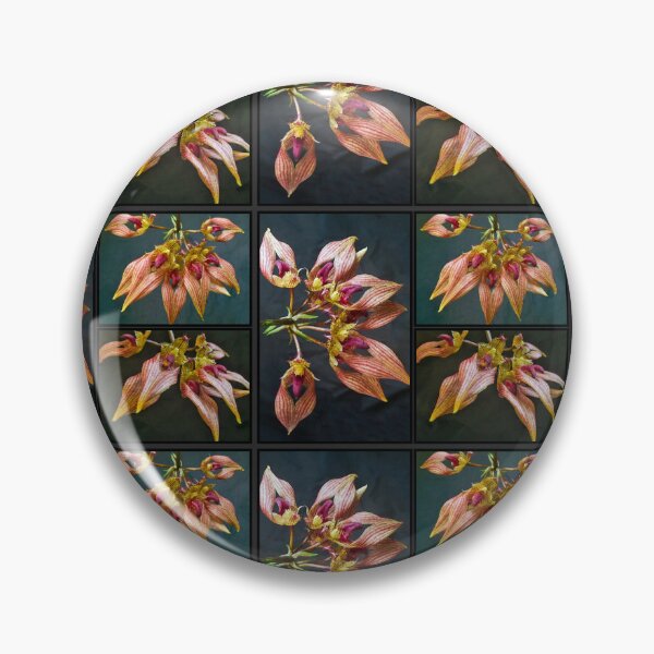 Item preview, Bulbophyllum Orchid A-Dorabil Candy Ann Collage designed and sold by Susan Maxwell Schmidt.