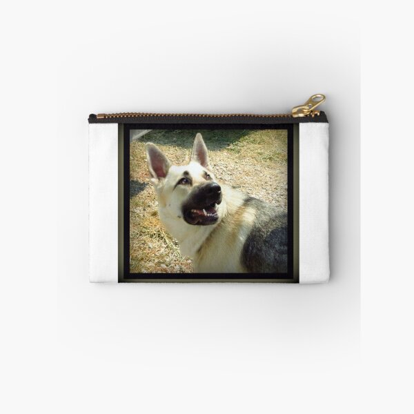 Item preview, Meet Apollo~ designed and sold by Diane Arndt.