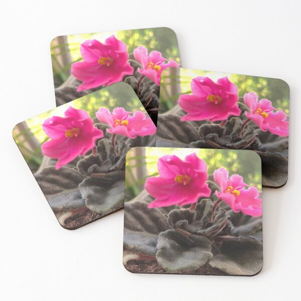 Item preview, Pretty pink African violet flowers  designed and sold by FlowersAndMore.