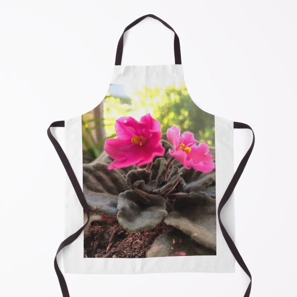 Item preview, Pretty pink African violet flowers designed and sold by FlowersAndMore.