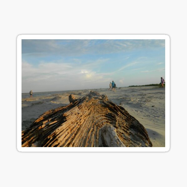 Drift Wood Sticker