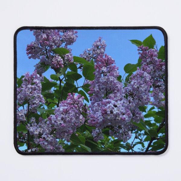 Item preview, Lovely lilac flowers and blue skies designed and sold by FlowersAndMore.