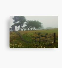 Misty Fields Canvas Print