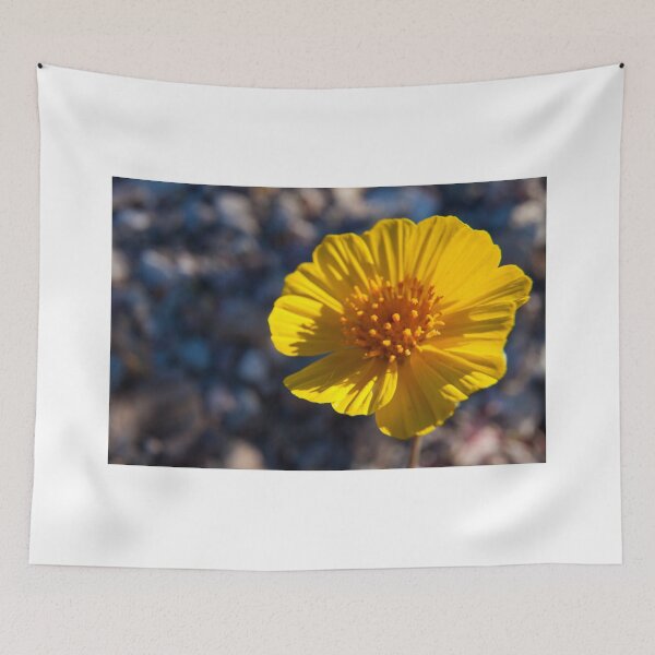 Item preview, Geraea Canescens Or Desert Gold designed and sold by chrismelinafrnk.