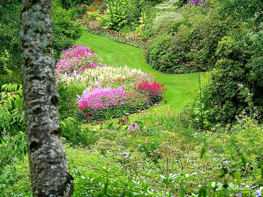 "Maple Glen Gardens Southland NZ **" by AndreaEL Redbubble