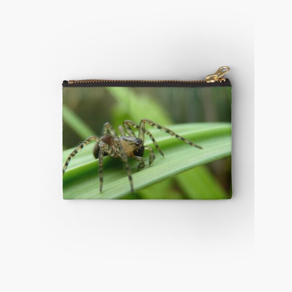 Item preview, Where To Next! - Spider on Celery Stalk - NZ designed and sold by AndreaEL.