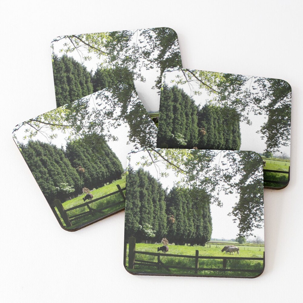 Item preview, Coasters (Set of 4) designed and sold by Marco-Eye-View.