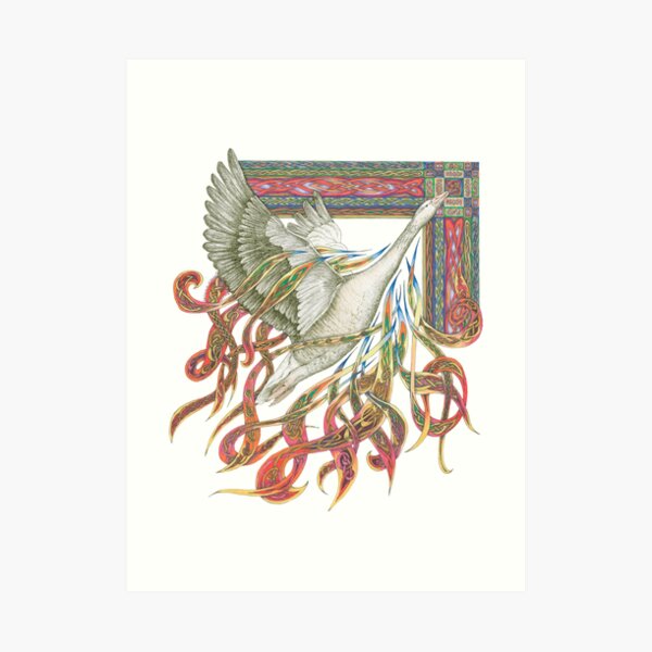 Wild Goose Art Print