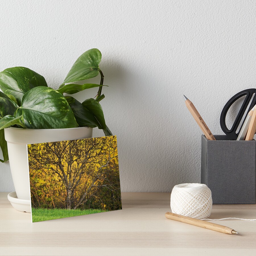 Item preview, Art Board Print designed and sold by patmo.