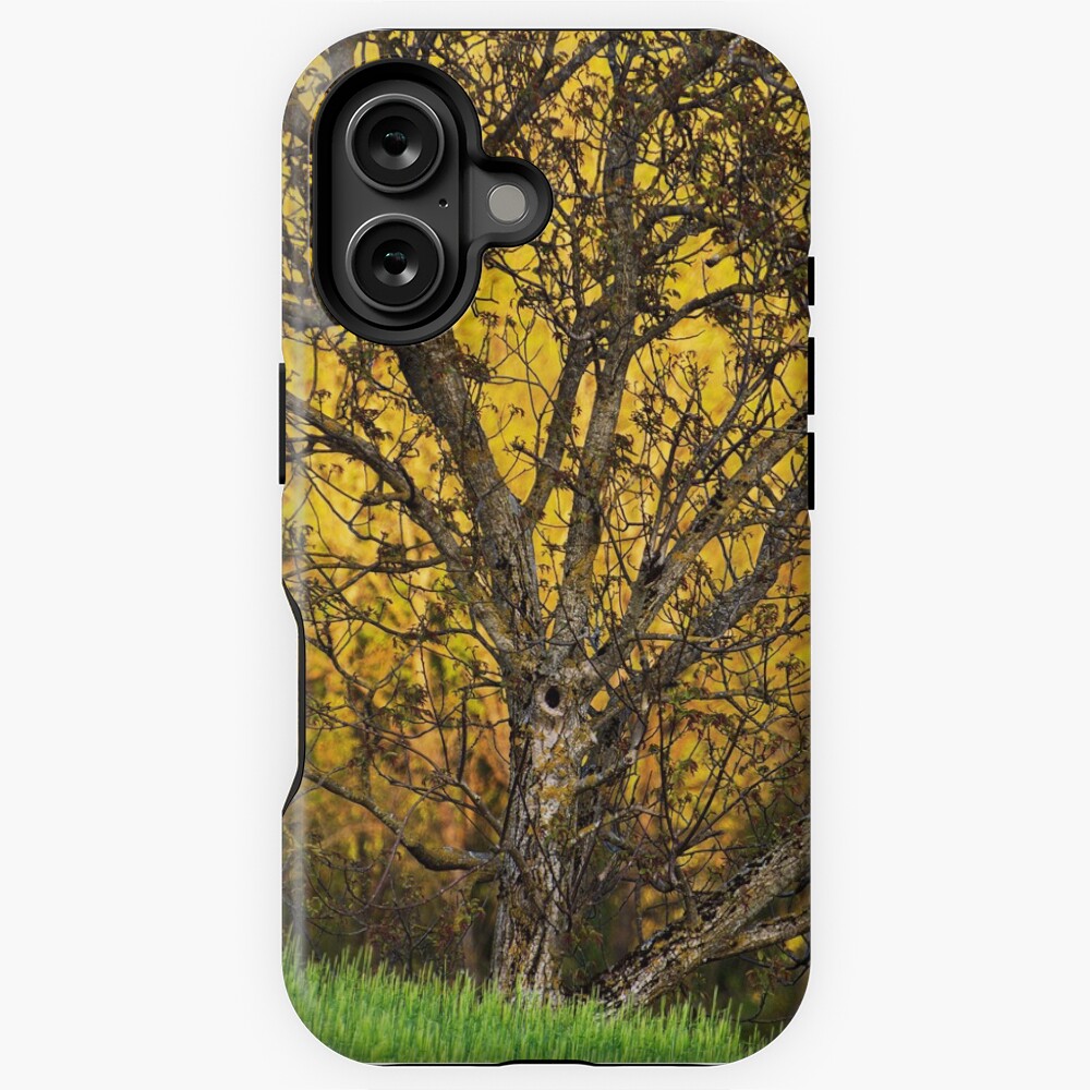 Item preview, iPhone Tough Case designed and sold by patmo.