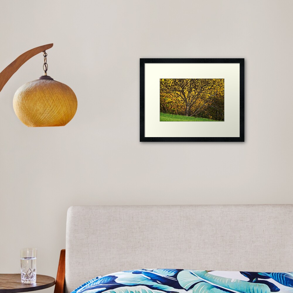Item preview, Framed Art Print designed and sold by patmo.