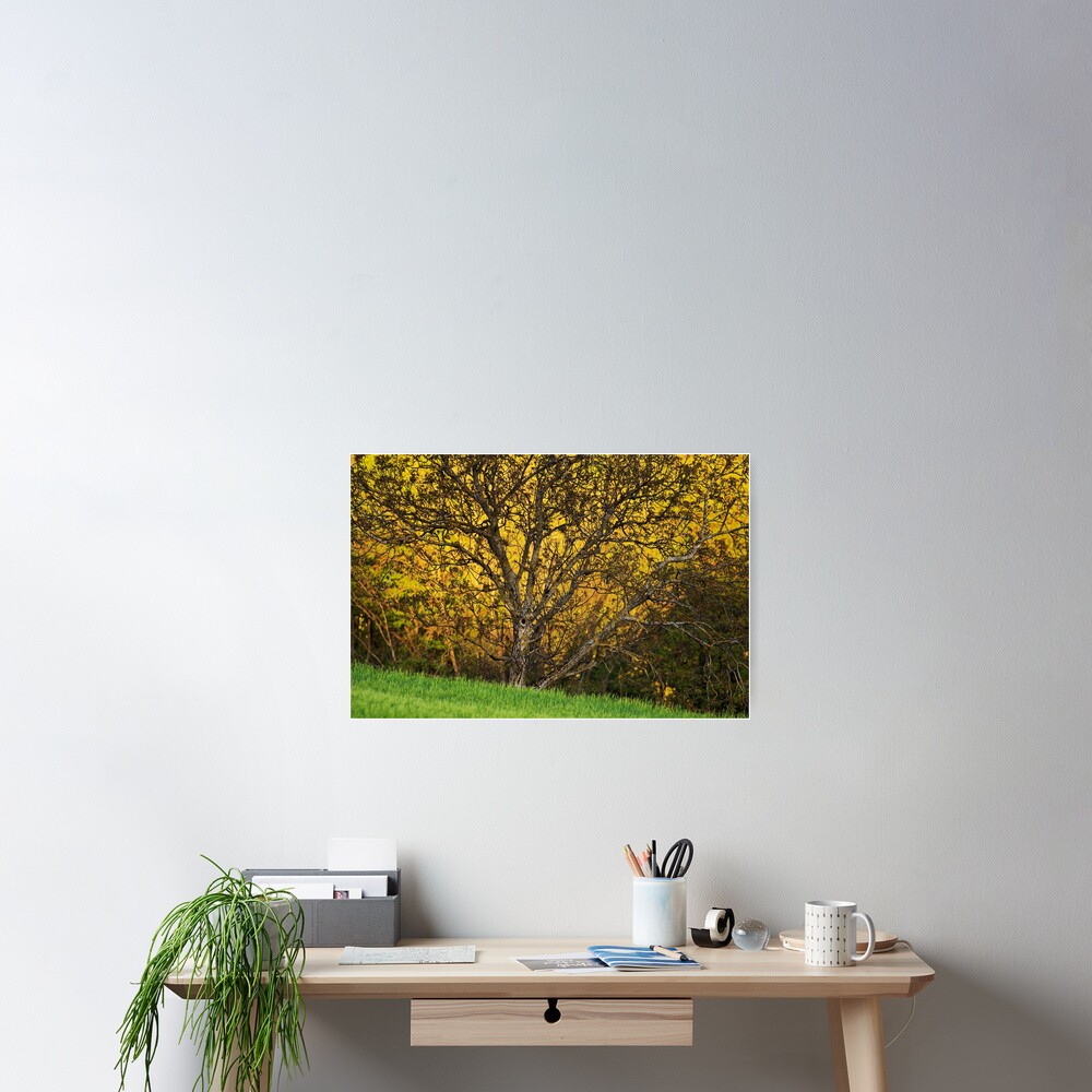 Item preview, Poster designed and sold by patmo.