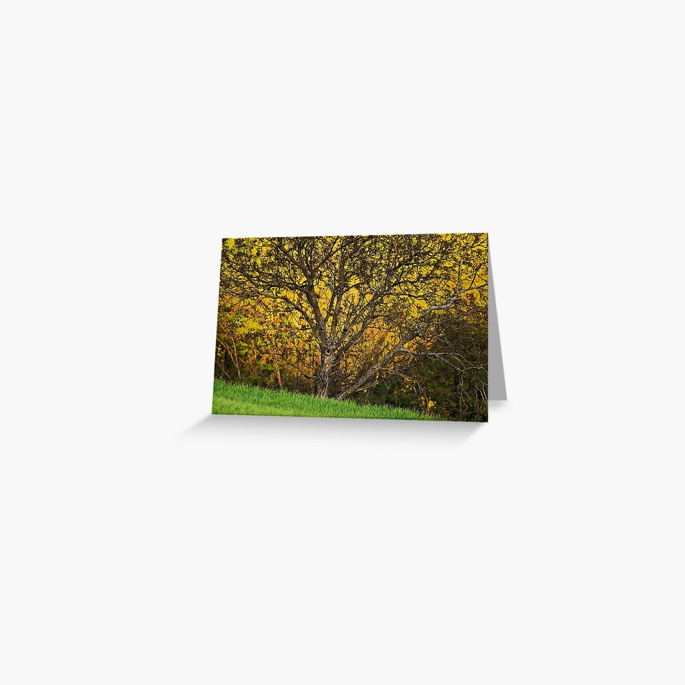 Item preview, Greeting Card designed and sold by patmo.