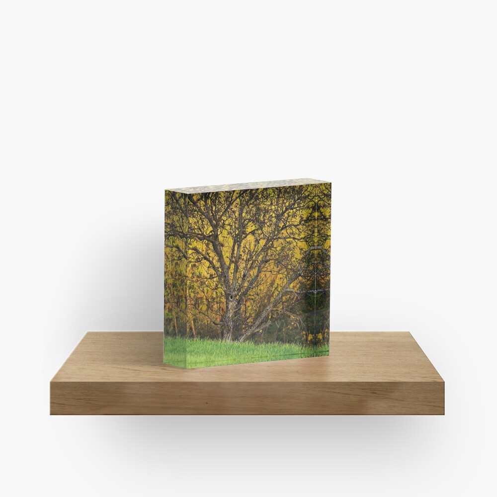 Item preview, Acrylic Block designed and sold by patmo.