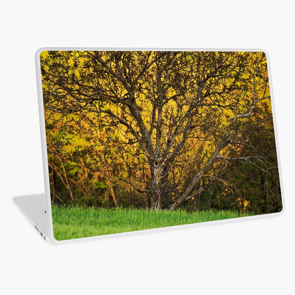 Item preview, Laptop Skin designed and sold by patmo.