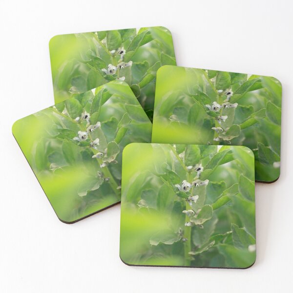 Item preview, Fava bean plants flowering designed and sold by Gaspar Avila.