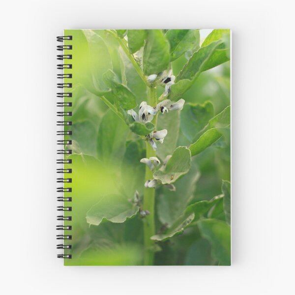 Item preview, Fava bean plants flowering designed and sold by Gaspar Avila.