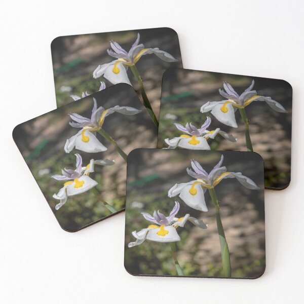 Item preview, African Iris or Fairy Lily designed and sold by CarolM.