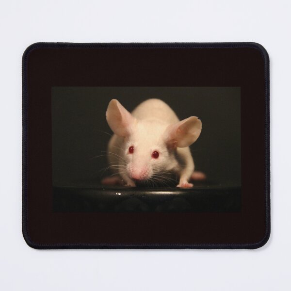 Item preview, Dove mouse designed and sold by NovaesArt.